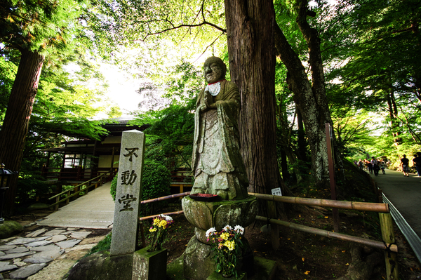cc0,c1,mysterious,buddha statue,mountain,japan,natural,light,woods,wood,plant,forest,asia,free photos,royalty free