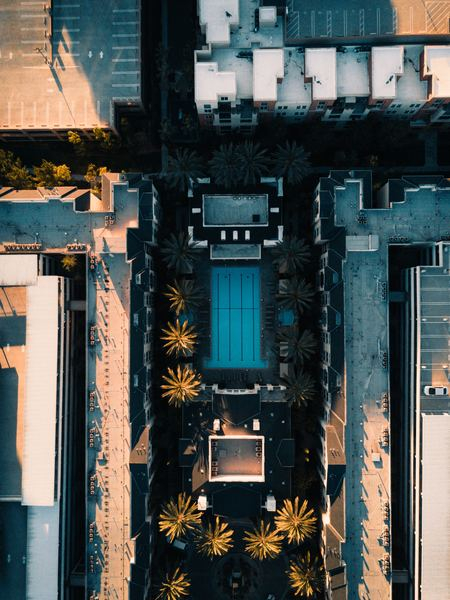 glass,plant,window,rooftopping,rooftop,city,city,building,urban,drone view,aerial view,building,pool,palm tree,city,rooftop,architecture,street,road,garden,back yard