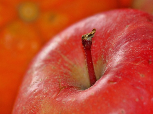 apple,close-up,delicious,food,fruit,healthy,raw,red,Free Stock Photo