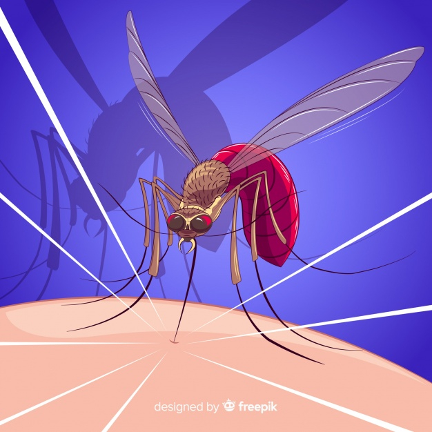 animal,colorful,medicine,blood,fly,biology,insect,mosquito,control,bug,flying,bite,poison,disease,dangerous,pest,infection,fauna,insecticide,sting