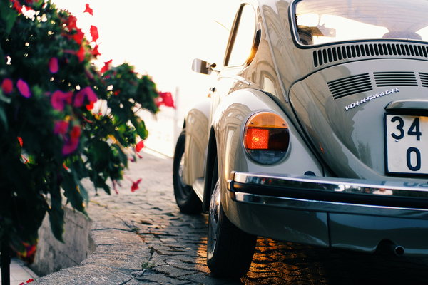 automobile,automotive,beetle,car,classic,flowers,road,tail light,vehicle,volkswagen,Free Stock Photo