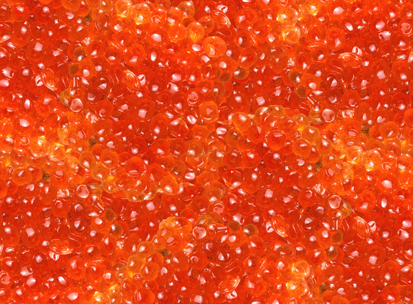 caviar,red,appetite,background,roe,sea,appetizer,breakfast,caviare,celebration,close-up,closeup,dainty,delicacy,delicatessen,delicious,dinner,eat,expensive,fish,food,gourmet,ingredient,lunch,luxury,macro,meal,nutrition,premium,product,refreshment,rich,salmon,salted,salty,seafood,snack,tasty,trout,wealth