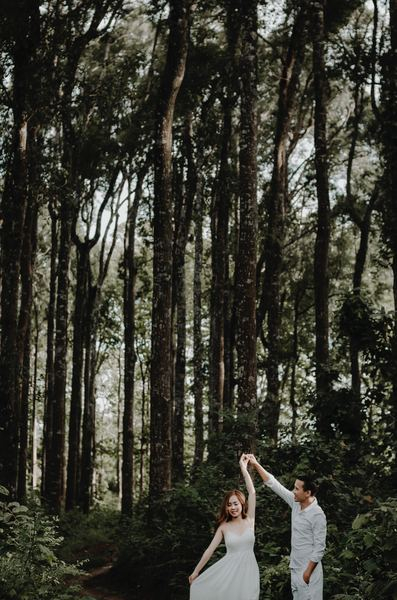 dance,woman,dancer,woman,man,portrait,wedding,love,marriage,woman,female,man,male,tree,forest,woodland,leaf,leaves,marriage,together,wedding,free images
