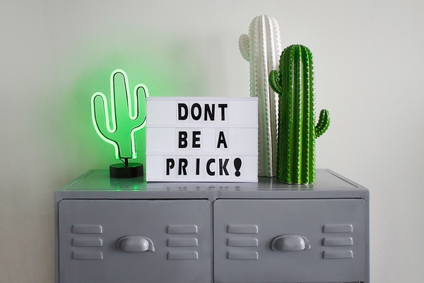 advice,cabinet,cactus,cactus plant,decor,decorating,decoration,design,designer,display,electricity,equipment,fun,green,home,home decor,home office,illustration,light,locker,plastic,power,prickly,quote,room,safety,security,symbol,word,Free Stock Photo