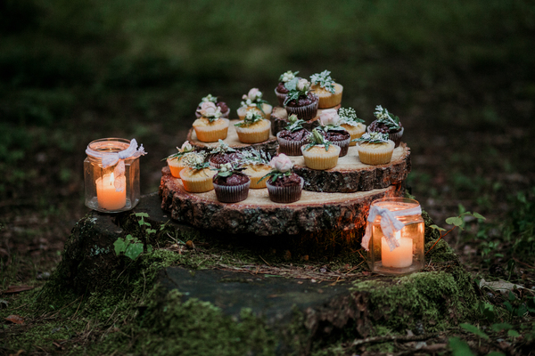 birthday,blur,cake,candles,cheese,close-up,cream,delicious,food,grow,healthy,jar,meal,moss,outdoors,stump,sweet,table,wood,Free Stock Photo