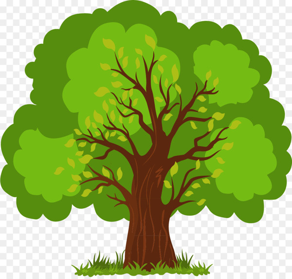 tree,cartoon,encapsulated postscript,template,photography,dwg,trunk,pptx,branch,plant,leaf,woody plant,green,plant stem,grass,png