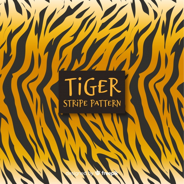 pattern,animal,animals,gradient,jungle,stripes,tiger,print,skin,stripe,handdrawn,animal print,wild,loop,wildlife,beast,roar,fiery,fierce,feline