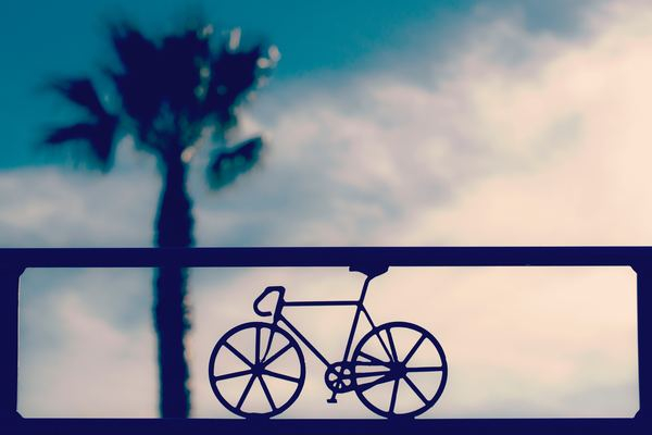 girl,vintage,retro,bicycle,bike,street,eye,portrait,woman,sign,bicycle,bike,cycle sign,bicycle sign,palm tree,sky,metal sign,metal bike logo,silhouette,sunset,dark