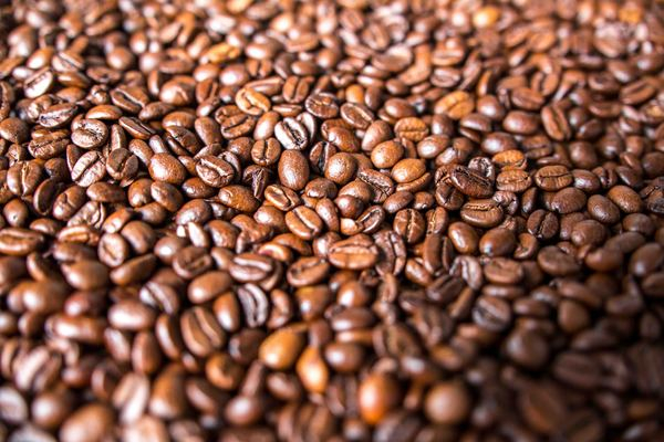 drink,food,cafe,seed,food,fruit,coffee,drink,cup,coffee bean,coffee,bean,seed,organic,java,heap,grind,roast,nutrition,gourmet,espresso