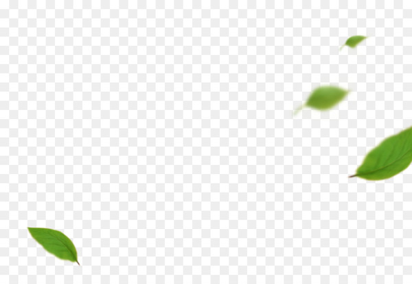 leaf,angle,square,green,line,grass,png