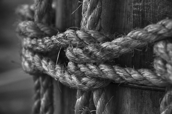 yarn,wood,twisted ropes,strong,rope,pier,outdoors,monochrome,knot,focus,cordage,close-up,blur,black-and-white