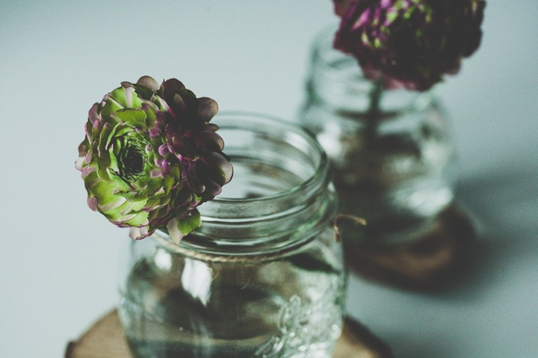 glass,jar,water,flower,vase,green,plant,mirror,reflection