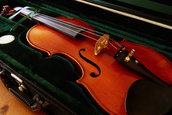violin images,violin case,hard violin case,violin,fiddle,picture of a fiddle,string instruments,beginner violin,student violin,how many strings does a typical fiddle have,what is a violin,violin humidifier,strings