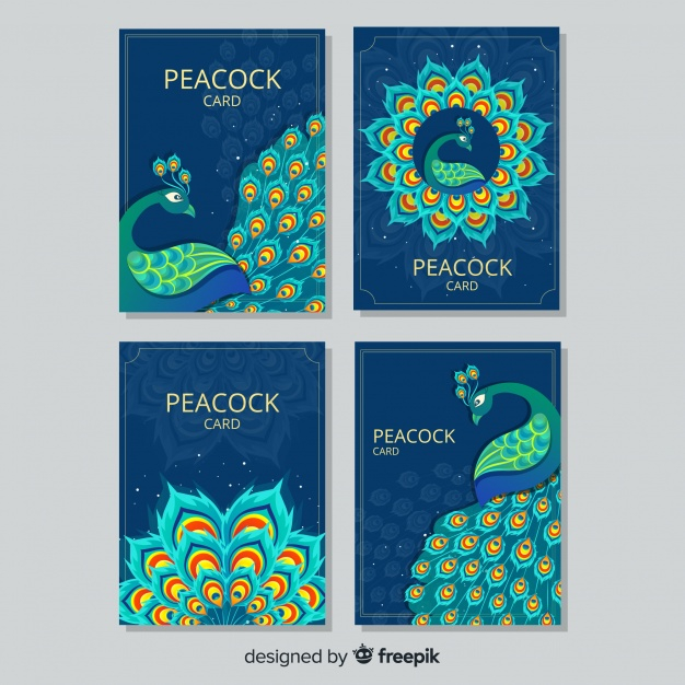 invitation,card,animal,invitation card,feather,elegant,creative,eyes,zoo,peacock,feathers,beautiful,pack,collection,set,wildlife,sample,exotic