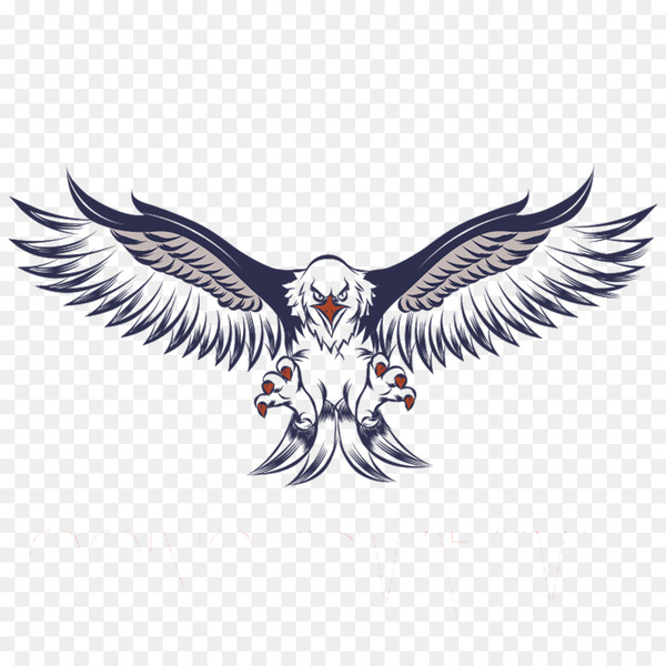 bald eagle,whitetailed eagle,eagle,golden eagle,wing,logo,silhouette,photography,eagle eye,neck,symbol,bird,bird of prey,png