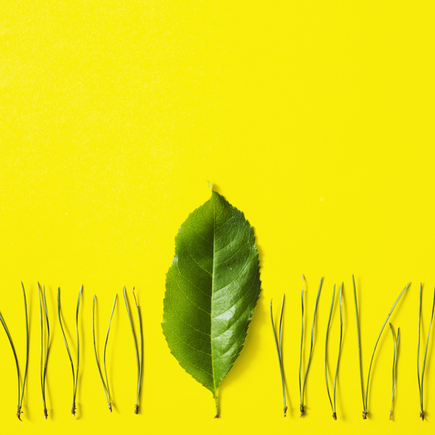 background,floral,leaf,green,floral background,green background,space,grass,yellow,backdrop,yellow background,natural,nature background,decorative,studio,background green,fresh,green leaves,background yellow,bright