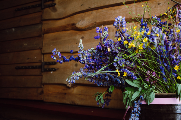beautiful,boho,bouquet,brown,clay,color,colour,field,flower,flowers,herb,herbs,lubine,natural,nature,plant,plants,pot,purple,rustic,violet,wall,wild,wood,wooden