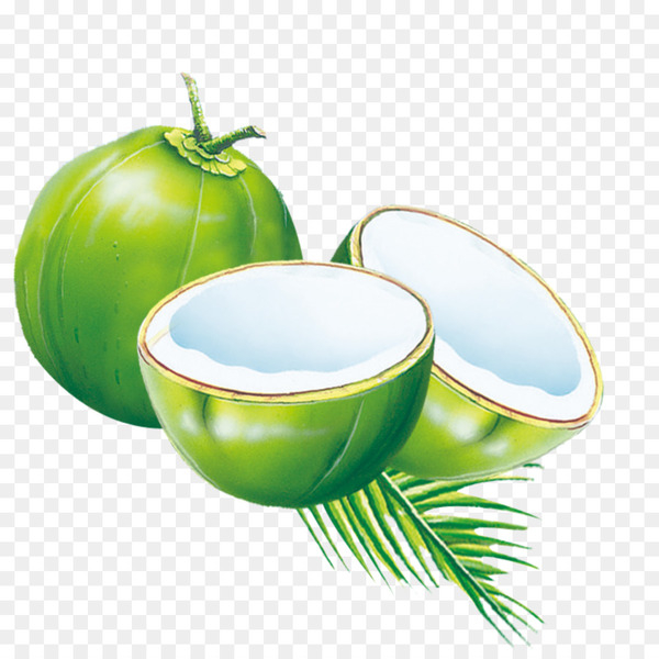 coconut water,coconut milk,es kelapa muda,coconut,coconut milk powder,calorie,drink,dried fruit,arecaceae,fruit,food,manufacturing,coconut oil,food drying,apple,cup,still life photography,ceramic,tableware,green,coffee cup,png