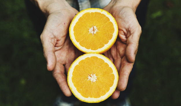 food,nature,hands,farm,orange,plant,organic,natural,healthy,vegetable,product,growth,healthy food,nutrition,fresh,holding hands,gardening,vitamin,harvest,cuisine