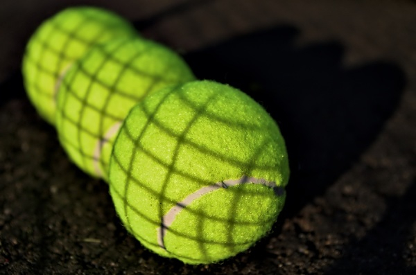 texture,tennis balls,tennis,shadow,round,game,fun,flora,dark,color,close-up,balls,athletics,activity