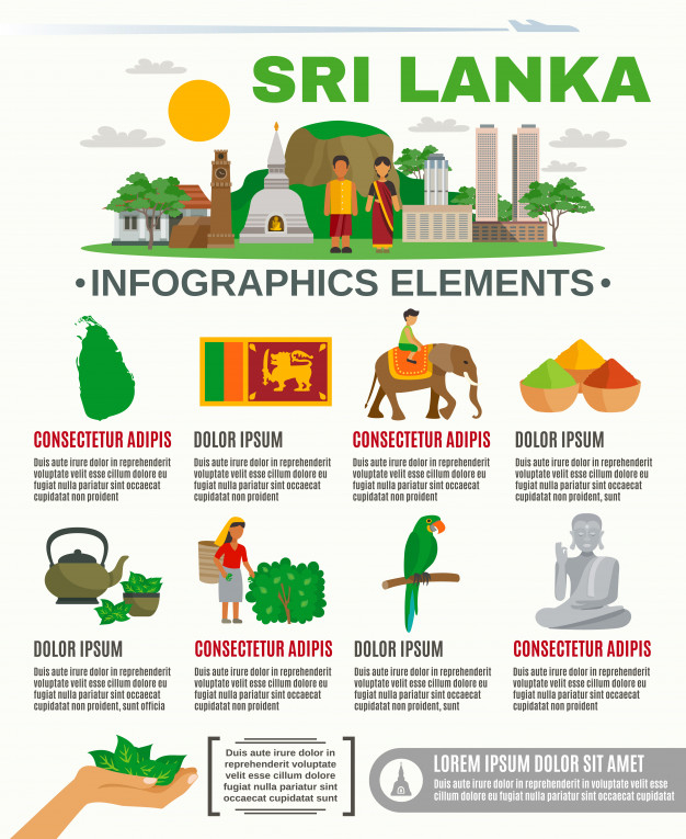 ceylon,sri,lanka,hinduism,monk,set,geography,collection,buddhism,page layout,landmark,abstract banner,parrot,infographic banner,country,page,buddha,island,symbol,vacation,decorative,palm,document,info,information,background abstract,elements,data,ribbon banner,palm tree,religion,infographic template,infographic elements,communication,elephant,person,sign,internet,presentation,tea,layout,earth,flag,button,line,background banner,template,technology,travel,abstract,tree,business,ribbon,abstract background,banner,infographic,background