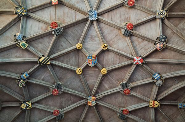 book,library,building,thing,desk,hand,art,blue,minimal,architecture,crest,roof,university,oxford,geometric,tetxure,pattern,colours,colourful ceiling,architetcure,architetcural detail,free stock photos