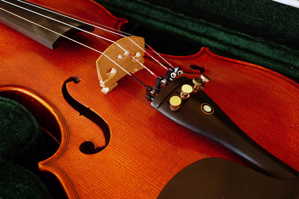 violin images,violin case,hard violin case,violin,fiddle,picture of a fiddle,string instruments,beginner violin,student violin,how many strings does a typical fiddle have,what is a violin,violin humidifier,strings,bridge,f hole,fine tuners,tailpiece