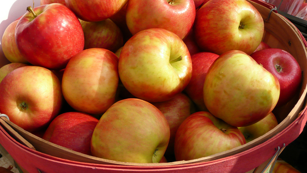 red,yellow,apple,apples,fruit,produce,basket,bushel,market,shadows,sale,september,food