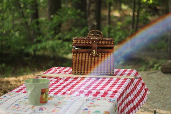 table setting,table,food,picnic,new hampshire,food,camping,campfire,fire,picnic,gingham,basket,wood,rainbow,picnic basket,table cloth,hamper,tree,camping,picnic table,tablecloth