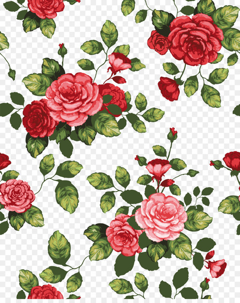 paper,flower,drawing,stockxchng,shading,watercolor painting,animation,petal,plant,shrub,garden roses,rose family,rose,rose order,floral design,textile,rosa centifolia,flora,cut flowers,flower arranging,flower bouquet,floristry,red,flowering plant,png