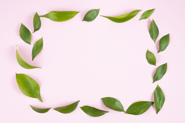 background,frame,card,green,pink,layout,idea,space,cute,spring,square,shape,pink background,flat,plant,decoration,creative,minimal,ideas,beautiful