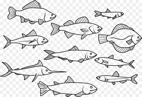 fish,drawing,encapsulated postscript,download,graphic design,line art,point,shoe,angle,vertebrate,marine mammal,artwork,line,black and white,seafood,wing,jaw,organism,png