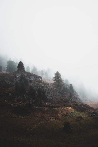 ghost,fog,forest,misty,fog,cloud,beautiful,building,orange,trees,fog,mist,mountain,rocks,grass,misty,foggy,rugged,rough,forest,leafe,public domain images