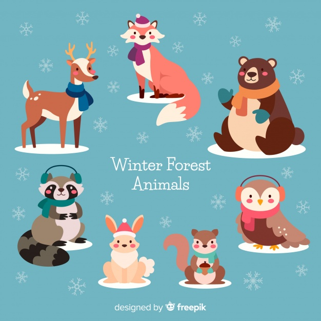 winter,snow,design,santa,nature,animal,snowflakes,forest,animals,bear,owl,deer,reindeer,flat,hat,santa hat,rabbit,fox,flat design,december