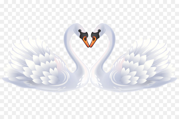 Free: Bird Black swan Clip art - White Swan 