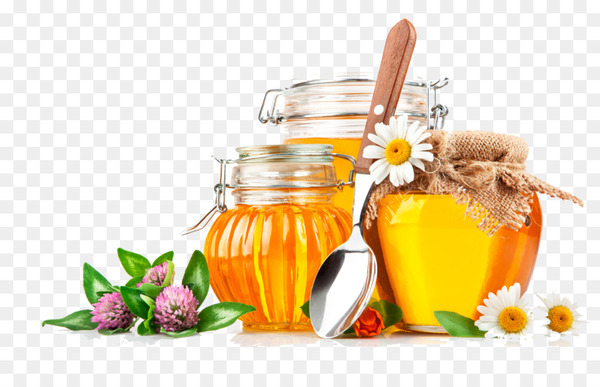 honey,bee,honeycomb,honey bee,display resolution,food,monofloral honey,highdefinition television,sweetness,stock photography,brown rice syrup,computer,syrup,flower,flavor,png
