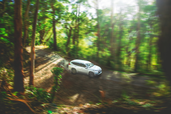 4x4,action,adventure,automobile,automotive,blurry,car,dirt road,environment,fast,forest,hurry,offroad,outdoors,trail,transportation system,travel,trees,vehicle,woods,Free Stock Photo