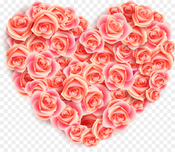 heart,valentines day,love,romance,gratis,pink,flower,peach,garden roses,rose family,rose,rose order,petal,floristry,artificial flower,floral design,cut flowers,flower arranging,flower bouquet,pink family,png