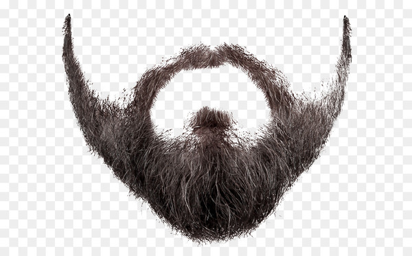 beard,moustache,computer icons,goatee,desktop wallpaper,man,image file formats,hairstyle,snout,whiskers,fur,black and white,facial hair,png