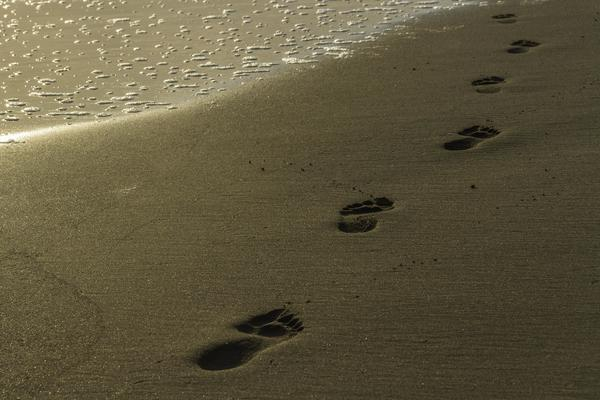 footprints,beach,sand,water,summer,tracks,prints