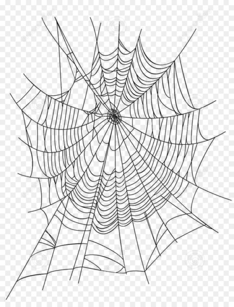 spider,spider web,shutterstock,istock,stock photography,world wide web,encapsulated postscript,line art,plant,leaf,symmetry,area,monochrome photography,point,invertebrate,black and white,monochrome,line,drawing,circle,structure,png