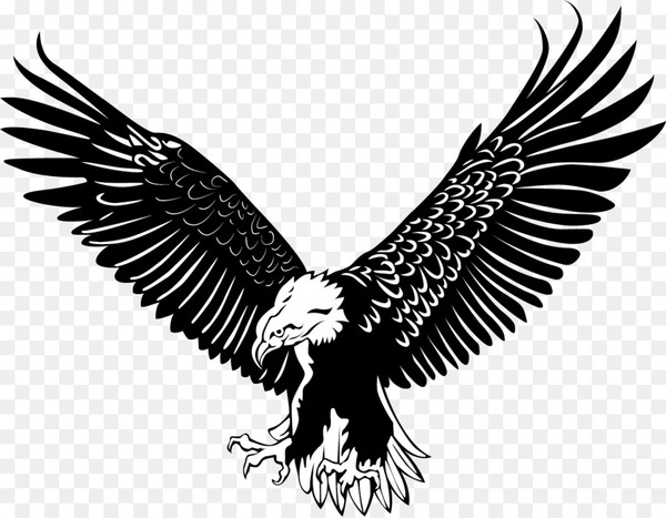 bald eagle,bird,eagle,bird of prey,osprey,silhouette,golden eagle,art,logo,buzzard,monochrome photography,wing,accipitriformes,beak,monochrome,feather,black and white,png