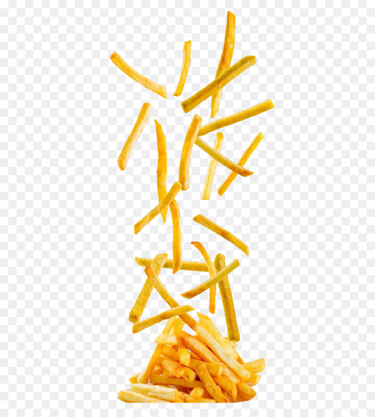 french fries,hamburger,fried chicken,fast food,sieve,frying,potato chip,deep fryers,restaurant,colander,food,deep frying,skimmer,oil,cooking,side dish,font,commodity,yellow,illustration,line,junk food,png