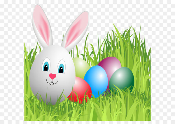 easter bunny,easter,poster,easter egg,party,egg hunt,flyer,christmas,moveable feast,resurrection of jesus,festival,holiday,computer wallpaper,plant,domestic rabbit,rabits and hares,grass family,rabbit,graphics,grass,hare,meadow,png