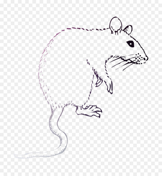Rat Or Mouse With Cheese. Graphic Wild Animal. Hand Drawn Vintage Sketch.  Engraved Grunge Elements. Royalty Free SVG, Cliparts, Vectors, and Stock  Illustration. Image 191302652.