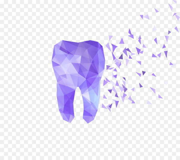human tooth,dentistry,tooth,tooth pathology,dentist,royaltyfree,molar,creative market,color,polygon,computer wallpaper,heart,lilac,purple,violet,png