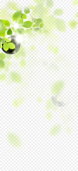 green,leaf,angle,line,square,yellow,grass,floral design,png