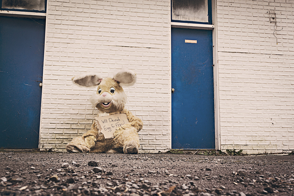 bunny,rabbit,costume,sign,rocks,ground,bricks,wall,blue,doors