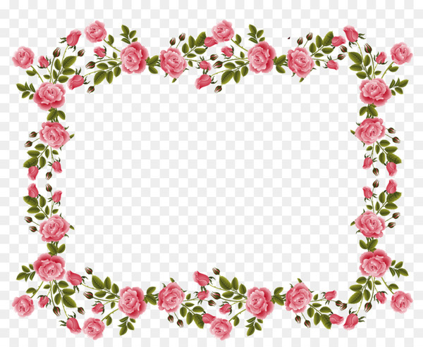 rose,picture frames,flower,pink flowers,stock photography,desktop wallpaper,free,pink,pnk,picture frame,heart,love,point,petal,body jewelry,cut flowers,border,flowering plant,leaf,blossom,branch,valentine s day,flower arranging,line,floral design,flora,hair accessory,floristry,png