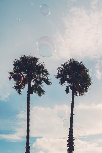 tree,plant,nature,sky,clouds,bubbles,sunny,summer